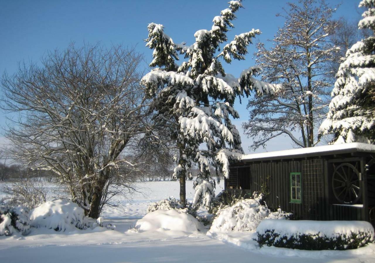 Ferienhaus Uchte / Darlaten Exterior foto