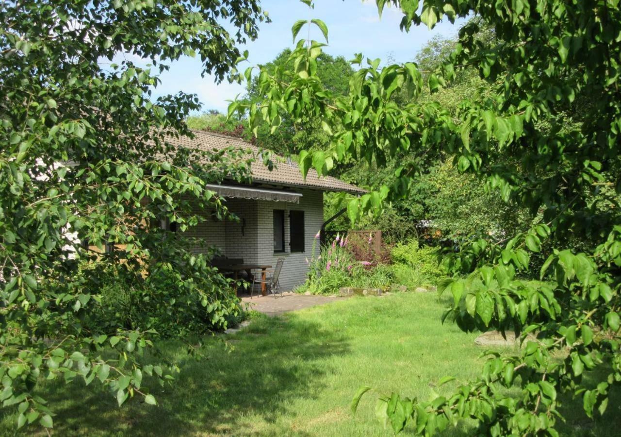 Ferienhaus Uchte / Darlaten Exterior foto